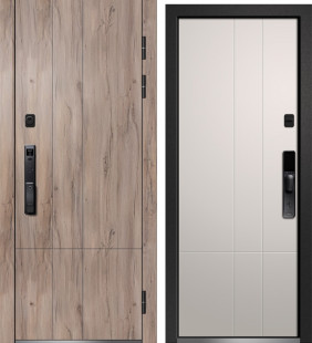 ОРФЕЙ-650 (Биометрия)    