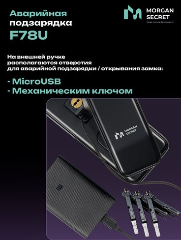 ОРФЕЙ-650 (Биометрия)    