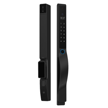 ВЕСТА 100 ТЕРМО (стеклопакет) с биометрическим замком