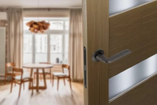 Ручка дверная DOVE S-489