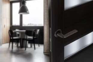 Ручка дверная DOVE S-489